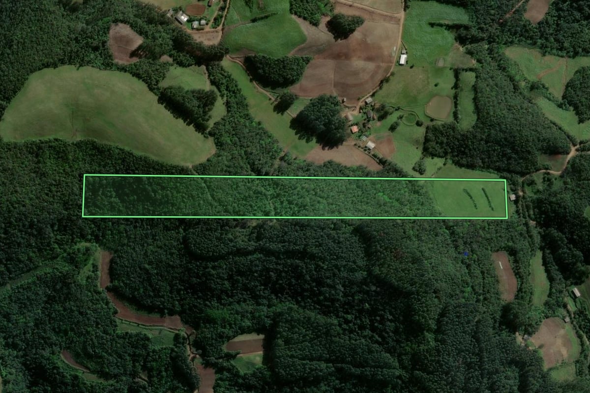Imagem de satélite do imóvel rural em Estrela Velha (RS), com o contorno declarado no CAR desenhado por cima.