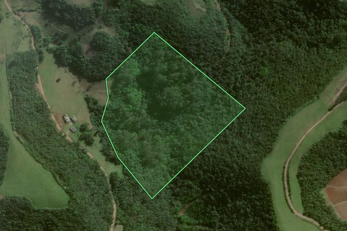 Imagem de satélite do imóvel rural em Estrela Velha (RS), com o contorno declarado no CAR desenhado por cima.