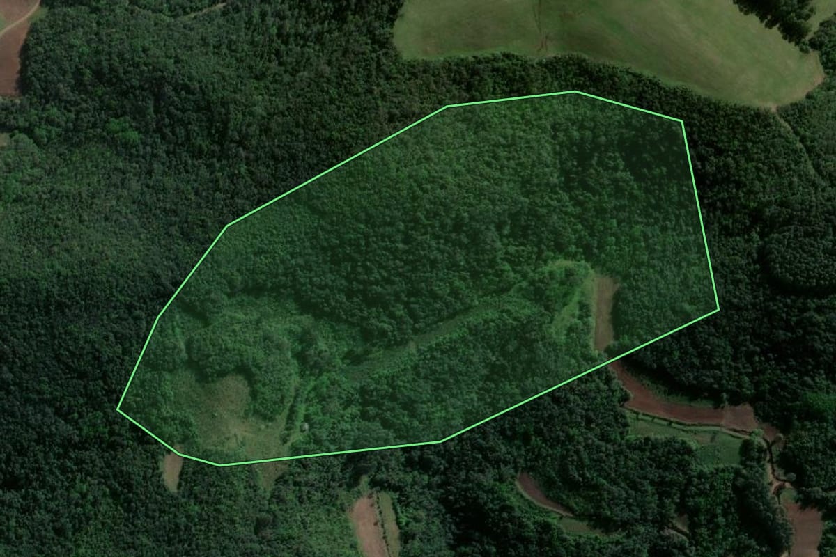 Imagem de satélite do imóvel rural em Estrela Velha (RS), com o contorno declarado no CAR desenhado por cima.