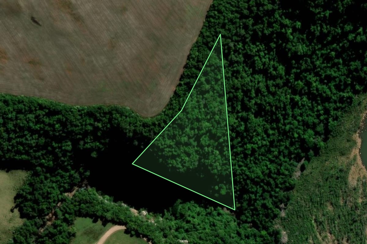Imagem de satélite do imóvel rural em Estrela Velha (RS), com o contorno declarado no CAR desenhado por cima.