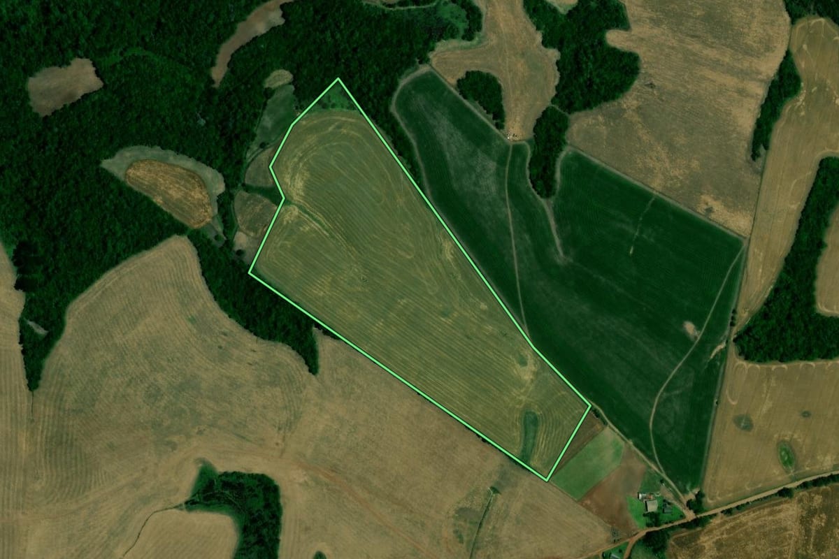 Imagem de satélite do imóvel rural em Estrela Velha (RS), com o contorno declarado no CAR desenhado por cima.