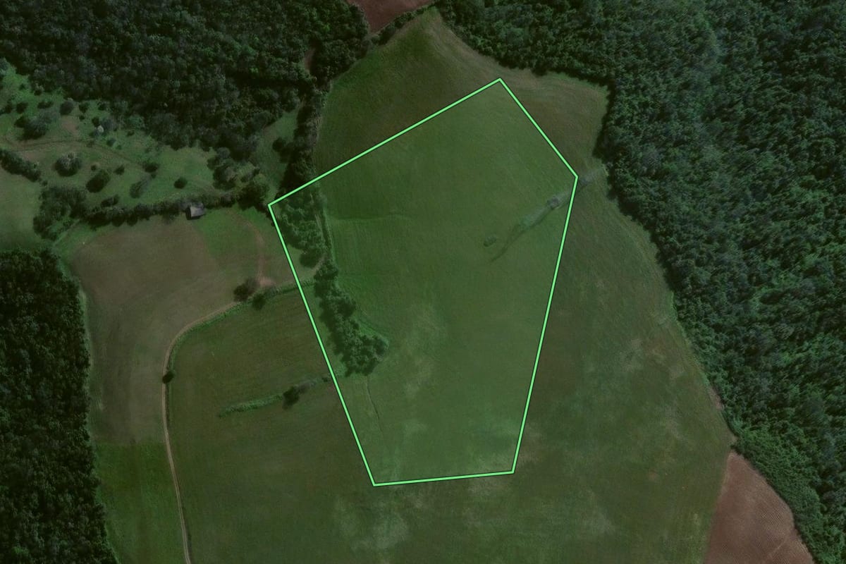 Imagem de satélite do imóvel rural em Estrela Velha (RS), com o contorno declarado no CAR desenhado por cima.