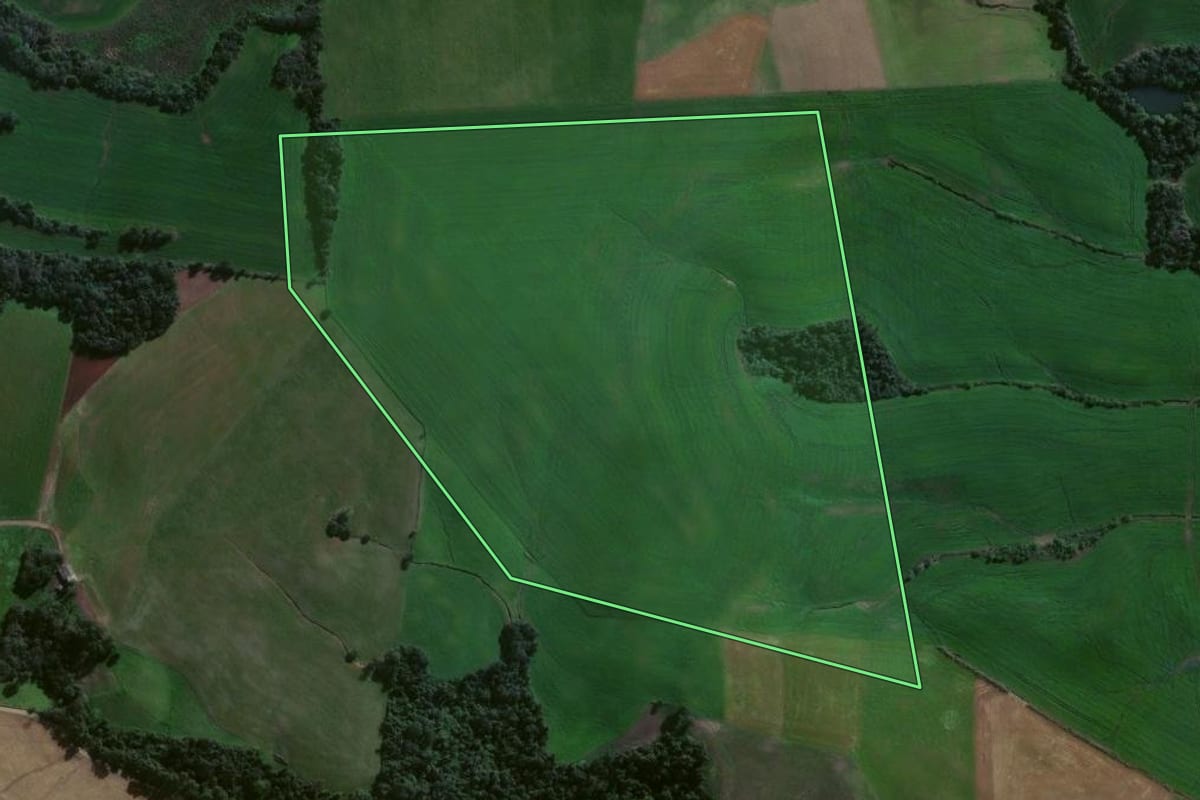 Imagem de satélite do imóvel rural em Estrela Velha (RS), com o contorno declarado no CAR desenhado por cima.