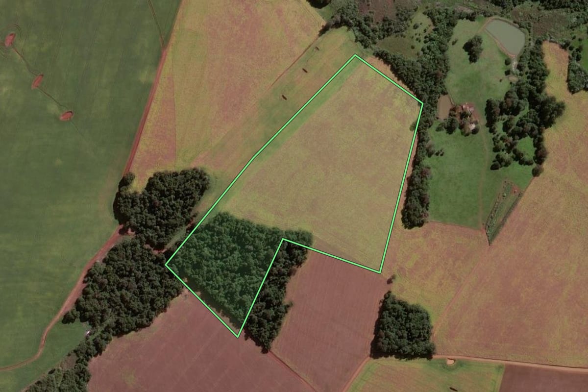 Imagem de satélite do imóvel rural em Eugênio de Castro (RS), com o contorno declarado no CAR desenhado por cima.