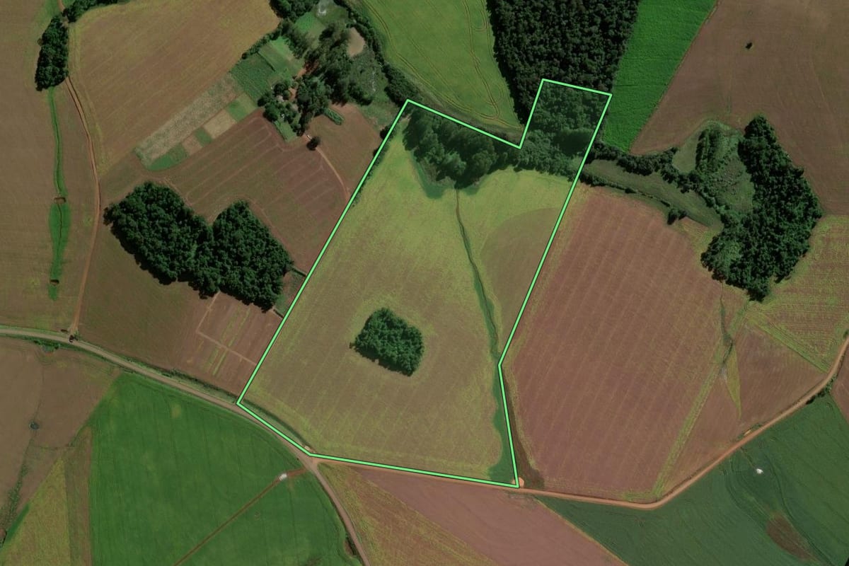 Imagem de satélite do imóvel rural em Eugênio de Castro (RS), com o contorno declarado no CAR desenhado por cima.