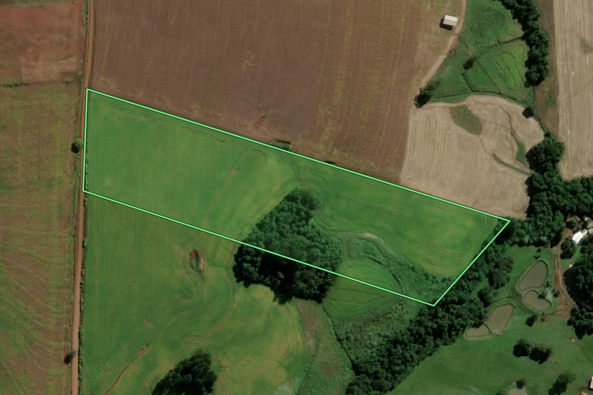 Imagem de satélite do imóvel rural em Eugênio de Castro (RS), com o contorno declarado no CAR desenhado por cima.