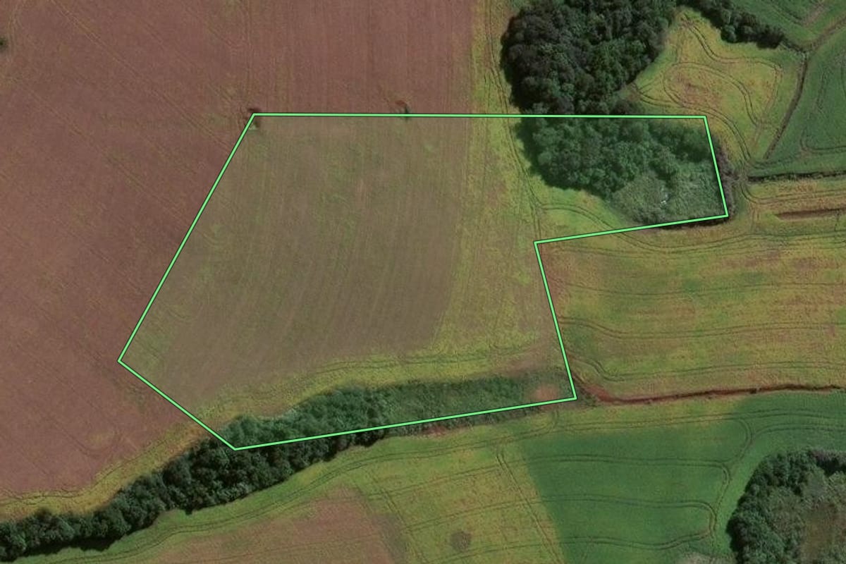 Imagem de satélite do imóvel rural em Eugênio de Castro (RS), com o contorno declarado no CAR desenhado por cima.