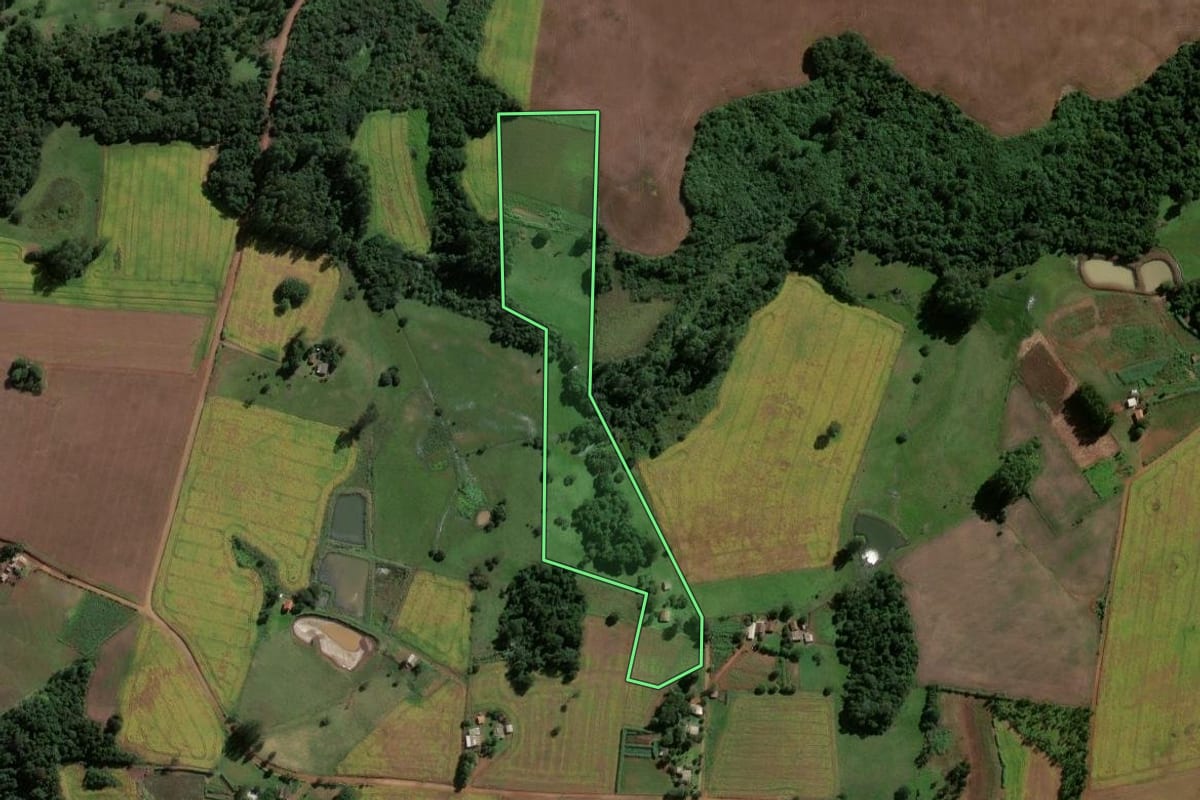 Imagem de satélite do imóvel rural em Eugênio de Castro (RS), com o contorno declarado no CAR desenhado por cima.