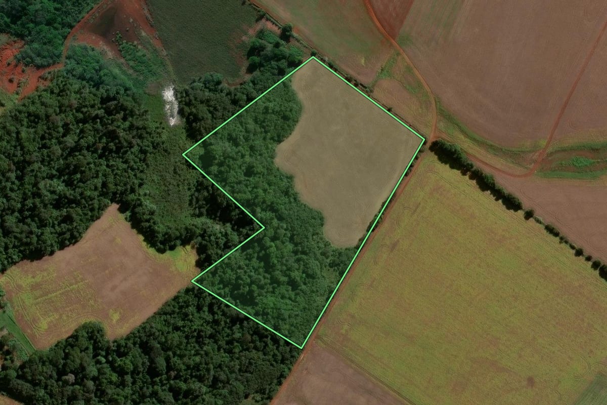 Imagem de satélite do imóvel rural em Eugênio de Castro (RS), com o contorno declarado no CAR desenhado por cima.