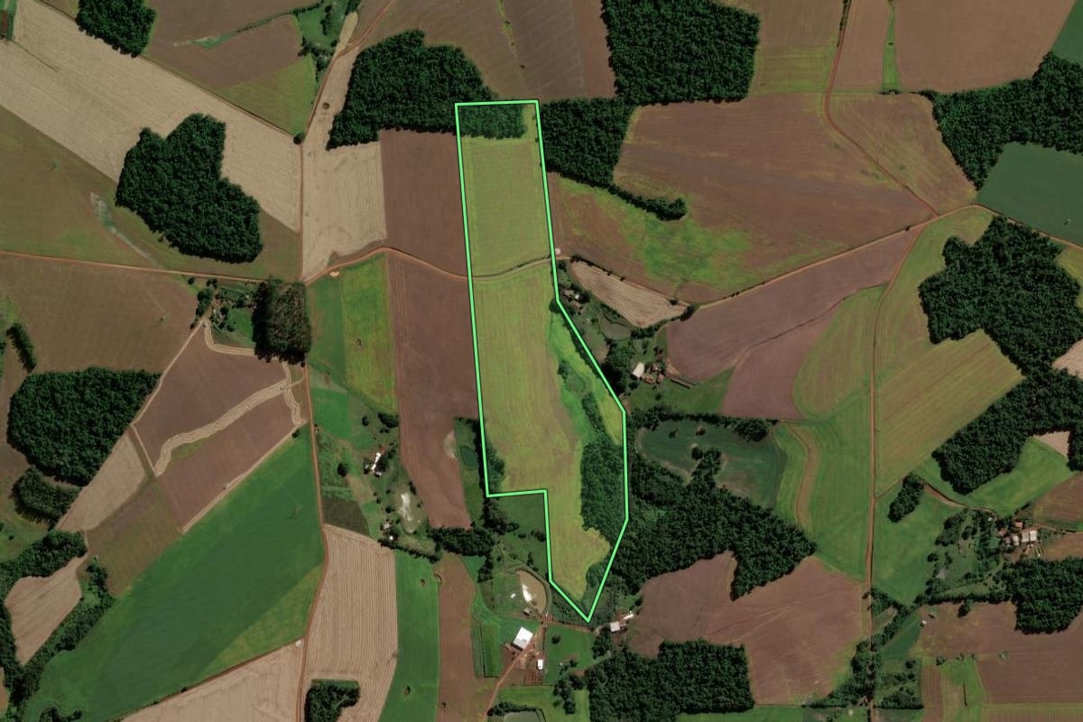 Imagem de satélite do imóvel rural em Eugênio de Castro (RS), com o contorno declarado no CAR desenhado por cima.