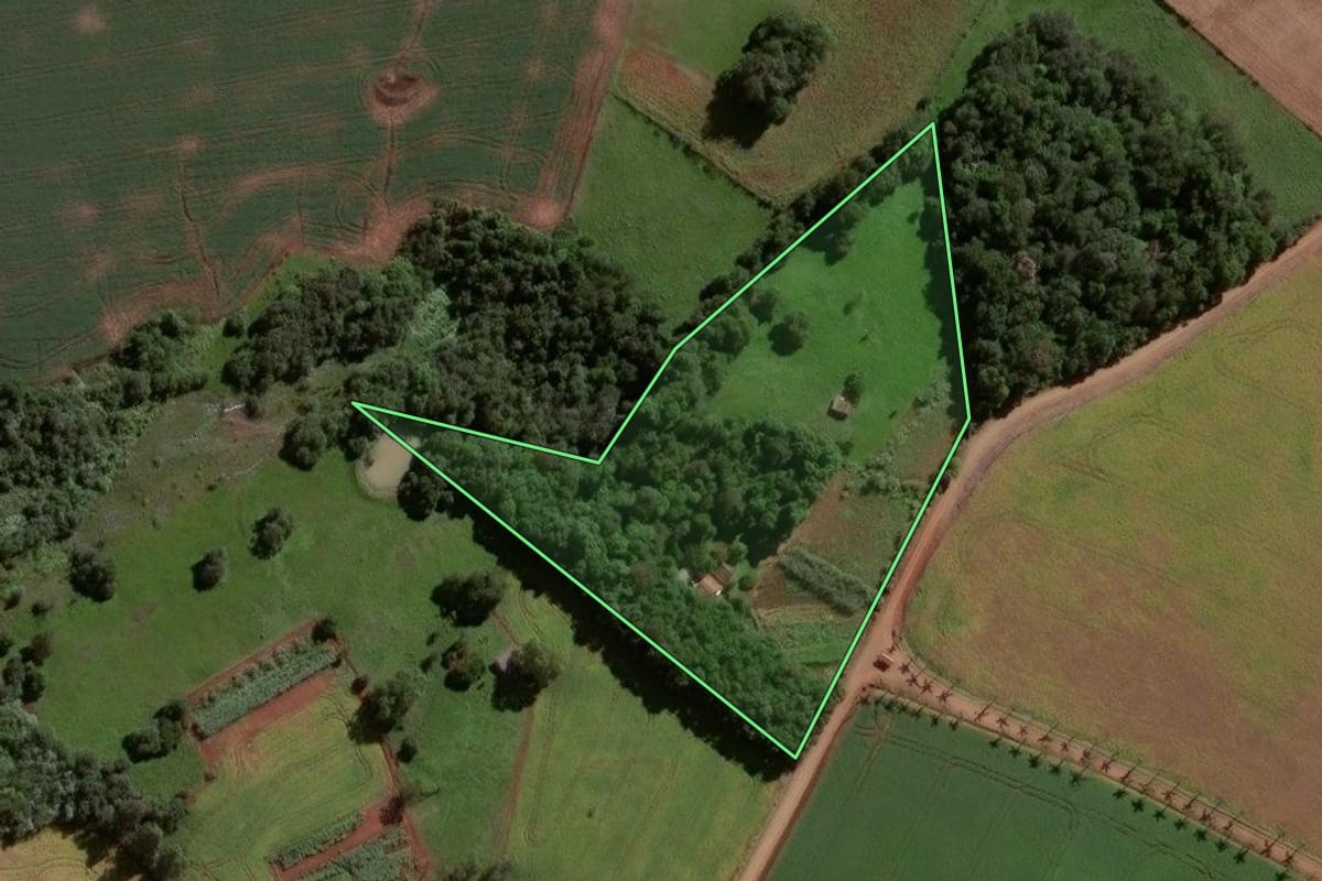 Imagem de satélite do imóvel rural em Eugênio de Castro (RS), com o contorno declarado no CAR desenhado por cima.