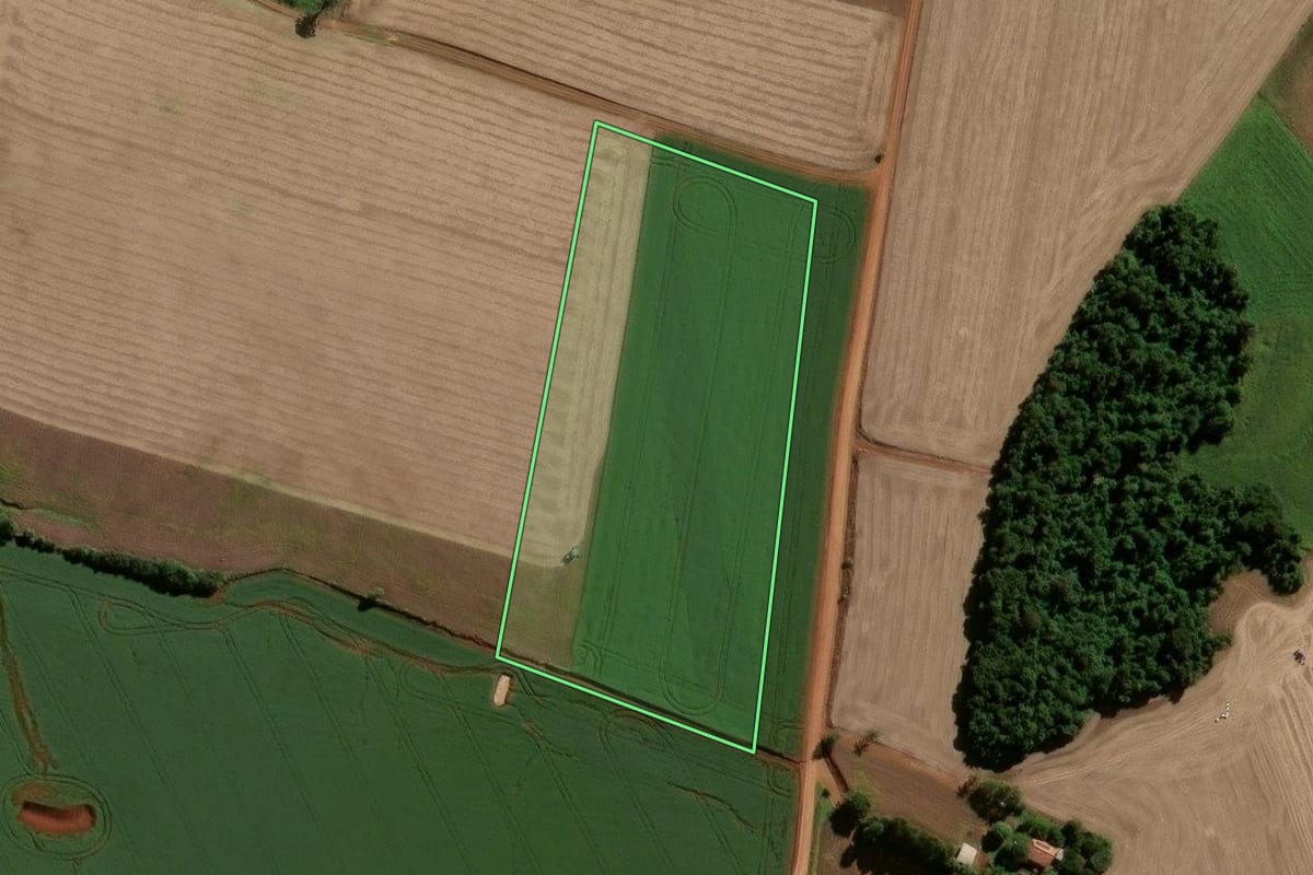 Imagem de satélite do imóvel rural em Eugênio de Castro (RS), com o contorno declarado no CAR desenhado por cima.
