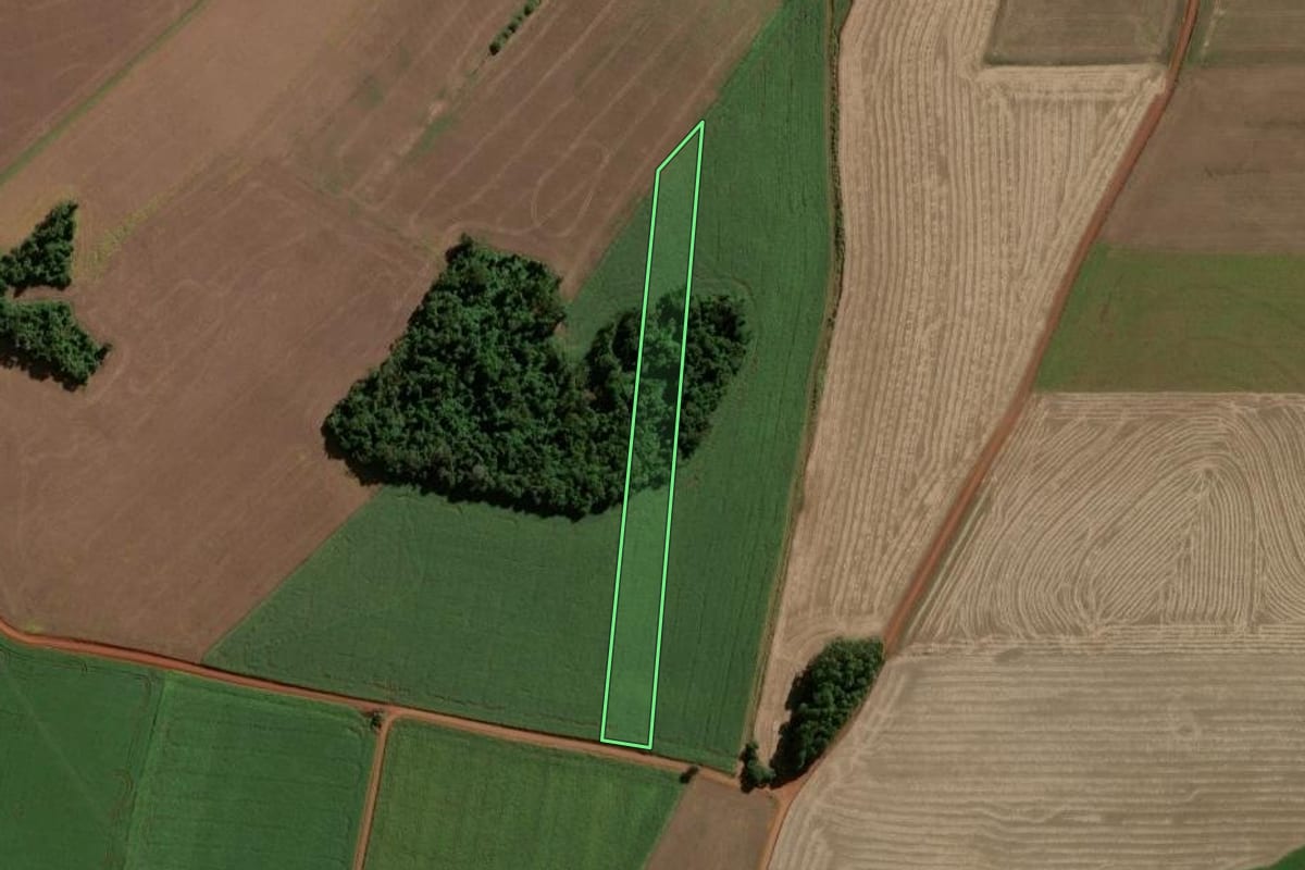 Imagem de satélite do imóvel rural em Eugênio de Castro (RS), com o contorno declarado no CAR desenhado por cima.