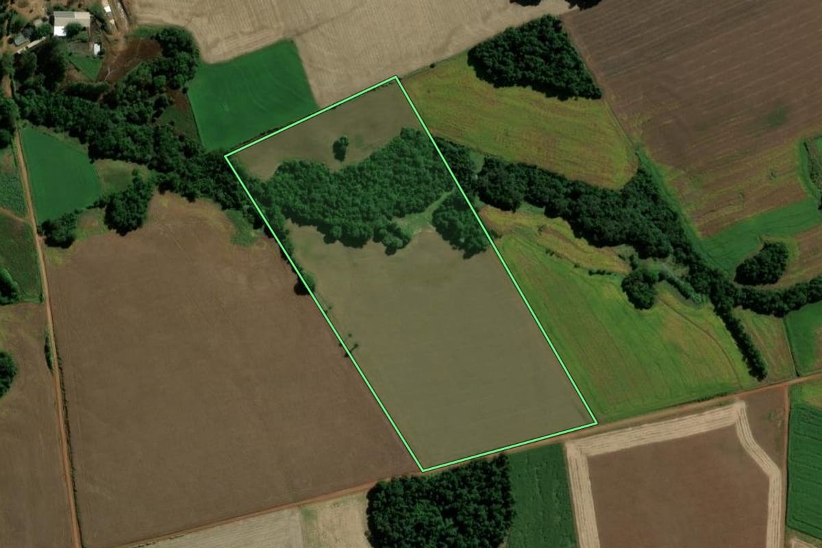 Imagem de satélite do imóvel rural em Eugênio de Castro (RS), com o contorno declarado no CAR desenhado por cima.