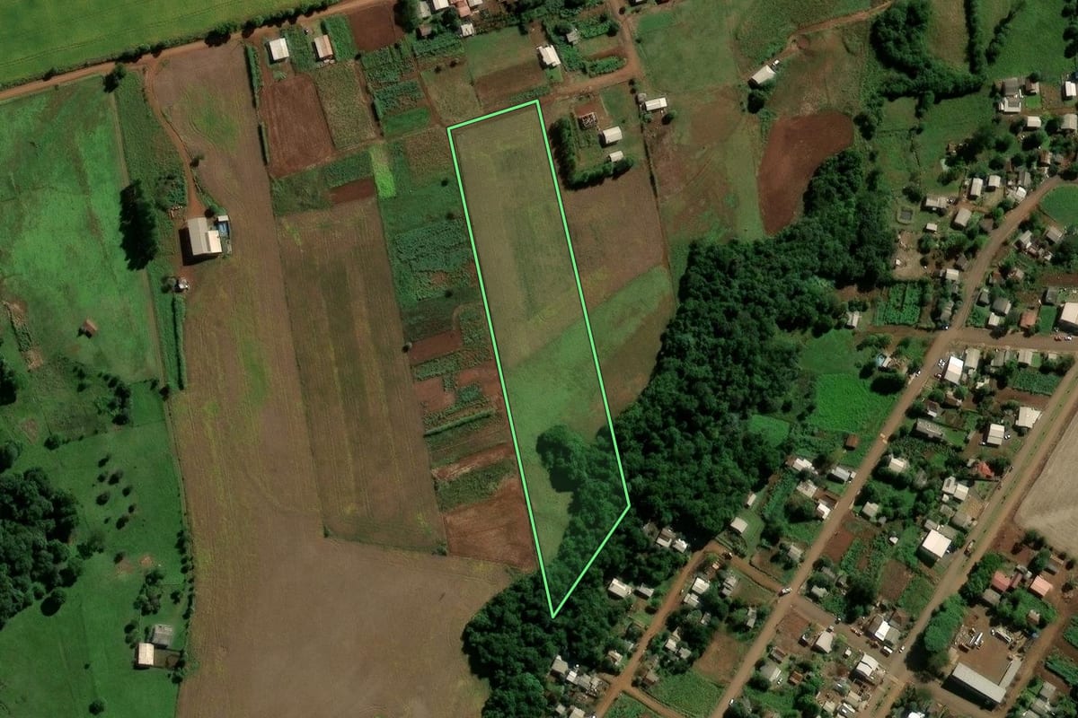 Imagem de satélite do imóvel rural em Eugênio de Castro (RS), com o contorno declarado no CAR desenhado por cima.
