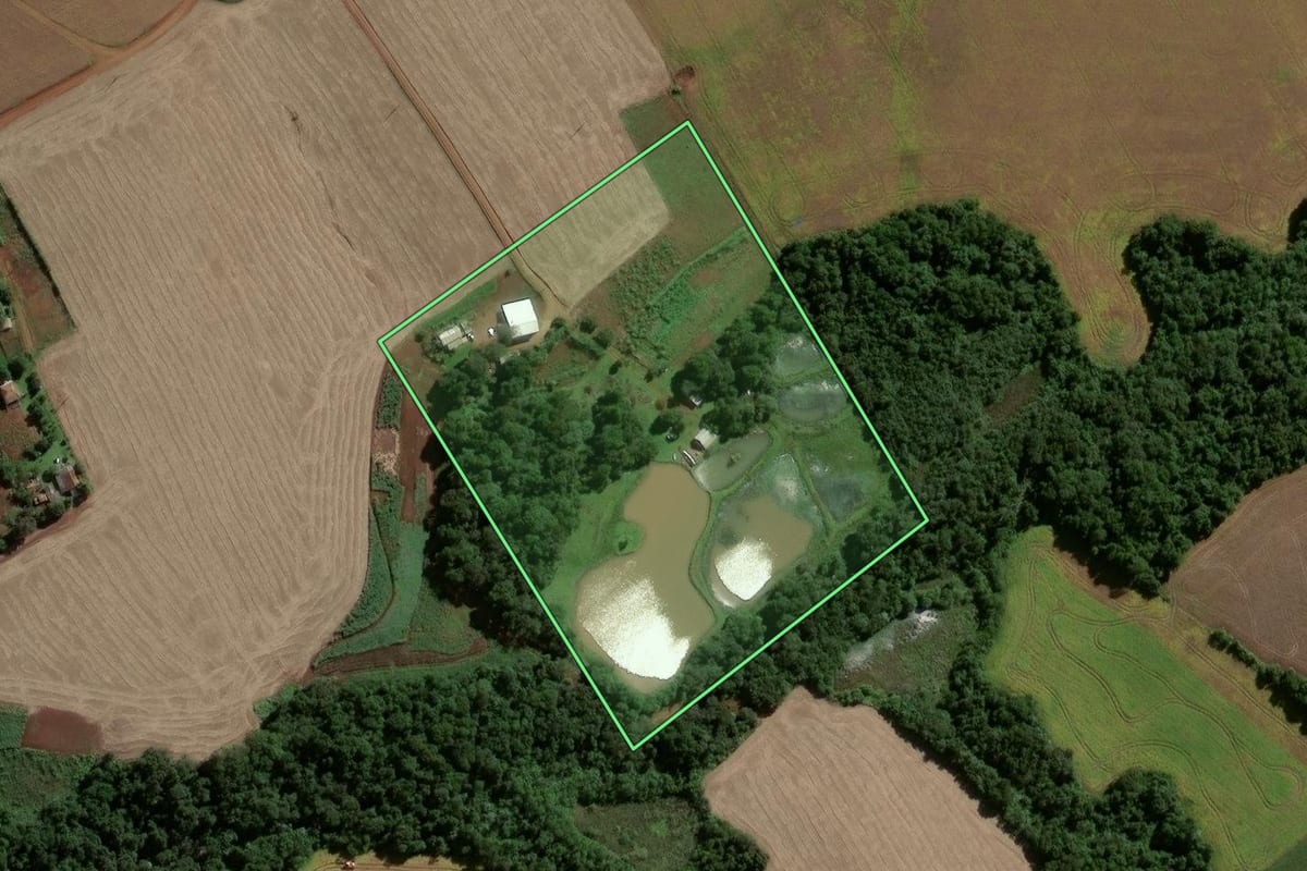 Imagem de satélite do imóvel rural em Eugênio de Castro (RS), com o contorno declarado no CAR desenhado por cima.