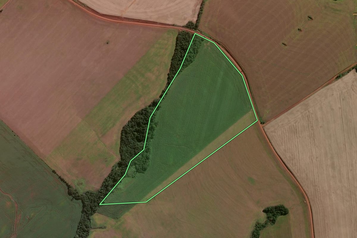 Imagem de satélite do imóvel rural em Eugênio de Castro (RS), com o contorno declarado no CAR desenhado por cima.