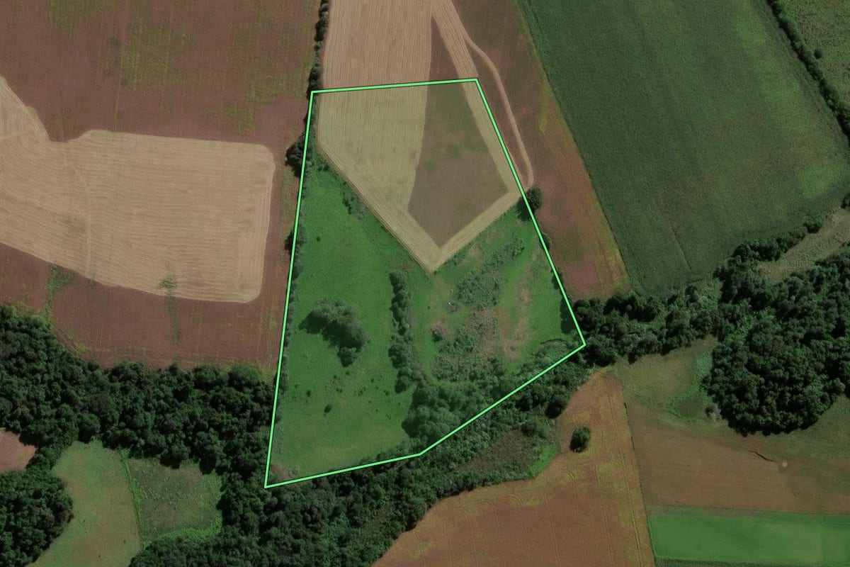Imagem de satélite do imóvel rural em Eugênio de Castro (RS), com o contorno declarado no CAR desenhado por cima.