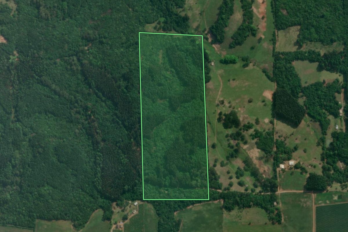 Imagem de satélite do imóvel rural em Fagundes Varela (RS), com o contorno declarado no CAR desenhado por cima.
