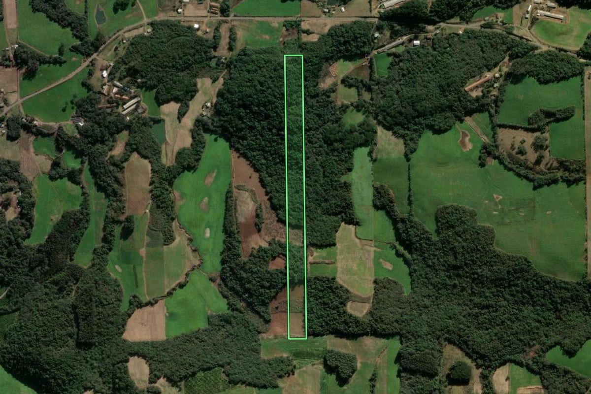 Imagem de satélite do imóvel rural em Fagundes Varela (RS), com o contorno declarado no CAR desenhado por cima.