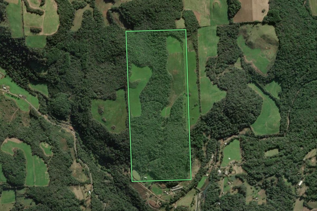 Imagem de satélite do imóvel rural em Fagundes Varela (RS), com o contorno declarado no CAR desenhado por cima.