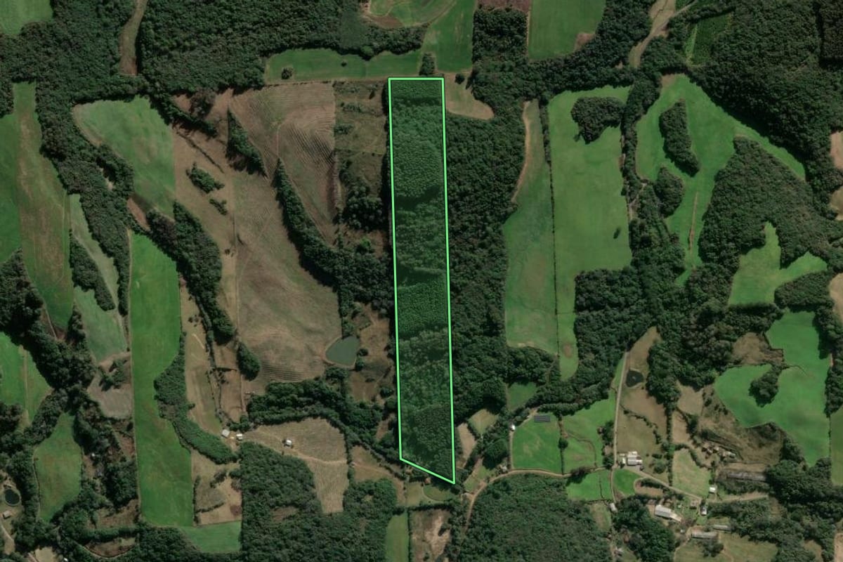 Imagem de satélite do imóvel rural em Fagundes Varela (RS), com o contorno declarado no CAR desenhado por cima.