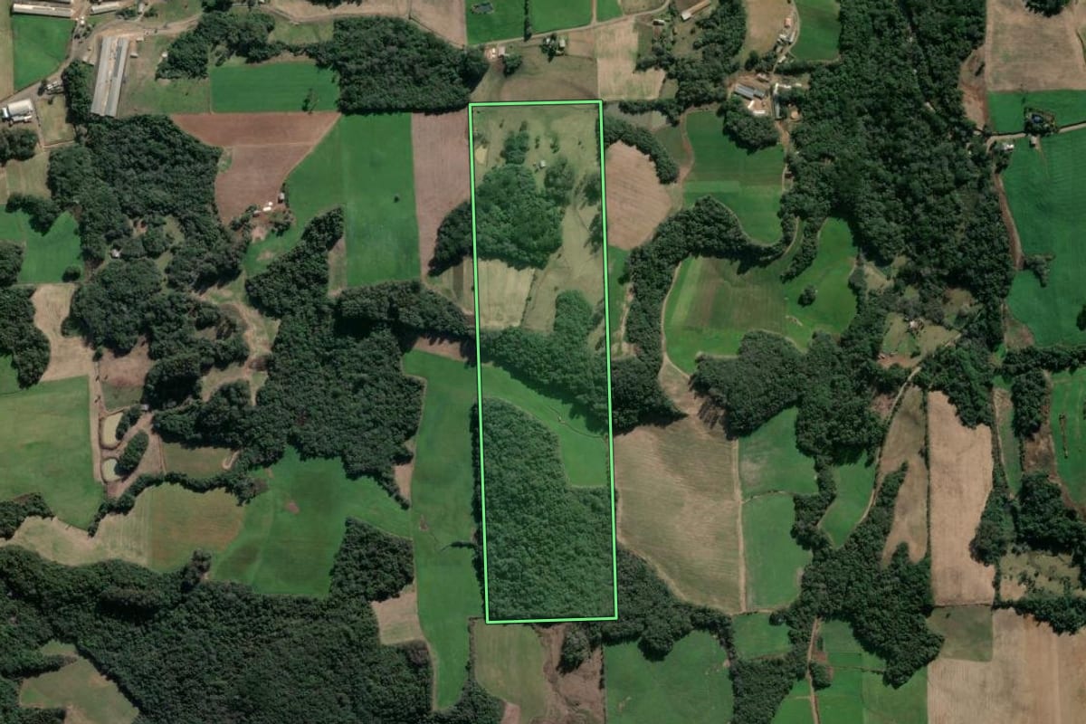 Imagem de satélite do imóvel rural em Fagundes Varela (RS), com o contorno declarado no CAR desenhado por cima.