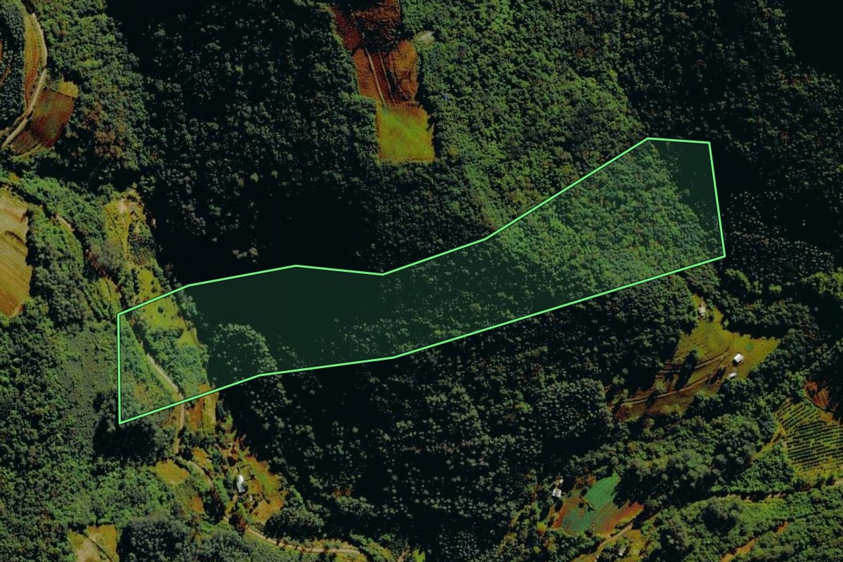 Imagem de satélite do imóvel rural em Farroupilha (RS), com o contorno declarado no CAR desenhado por cima.