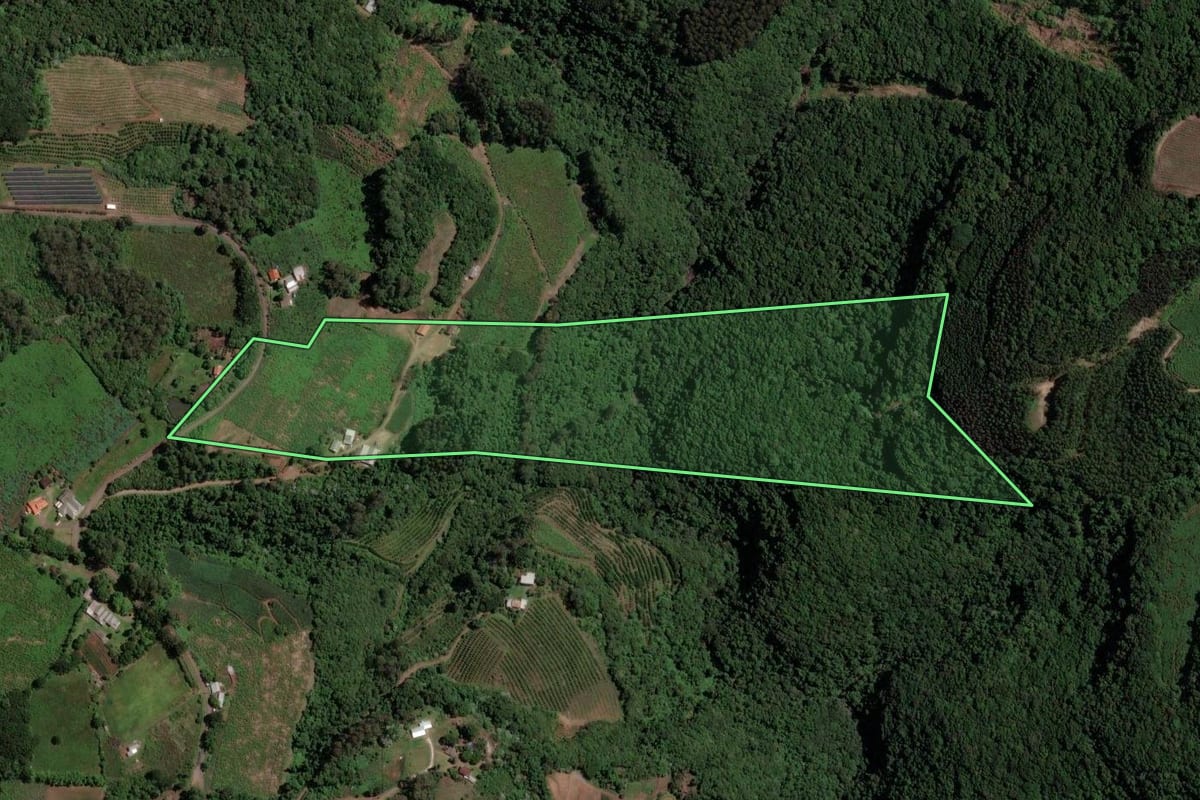 Imagem de satélite do imóvel rural em Farroupilha (RS), com o contorno declarado no CAR desenhado por cima.