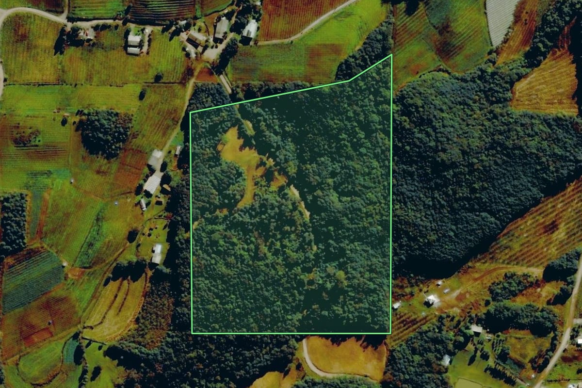 Imagem de satélite do imóvel rural em Farroupilha (RS), com o contorno declarado no CAR desenhado por cima.