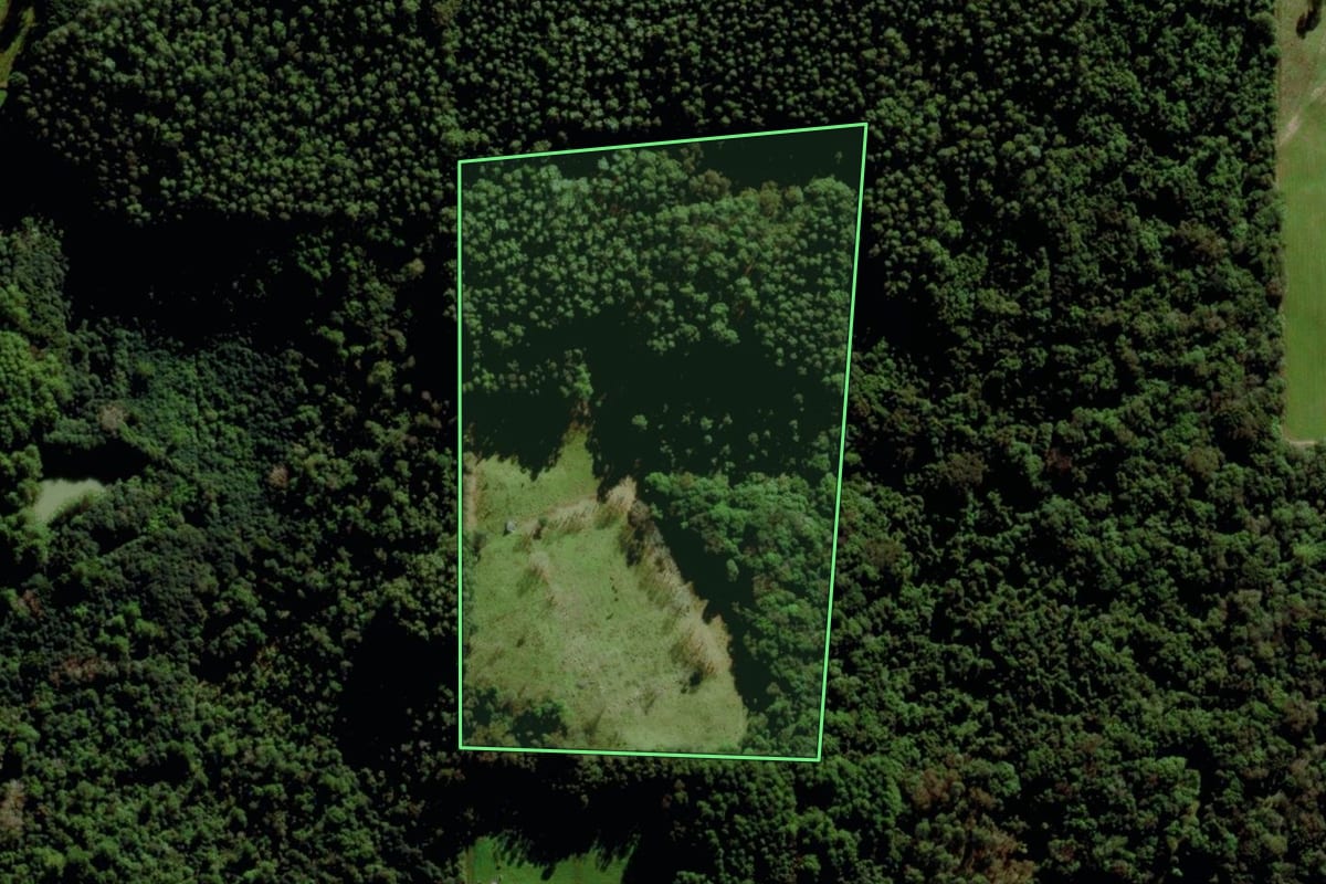 Imagem de satélite do imóvel rural em Farroupilha (RS), com o contorno declarado no CAR desenhado por cima.
