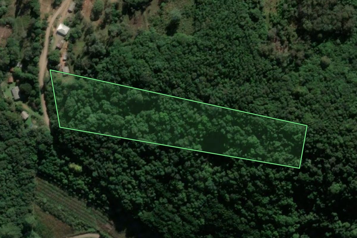 Imagem de satélite do imóvel rural em Farroupilha (RS), com o contorno declarado no CAR desenhado por cima.