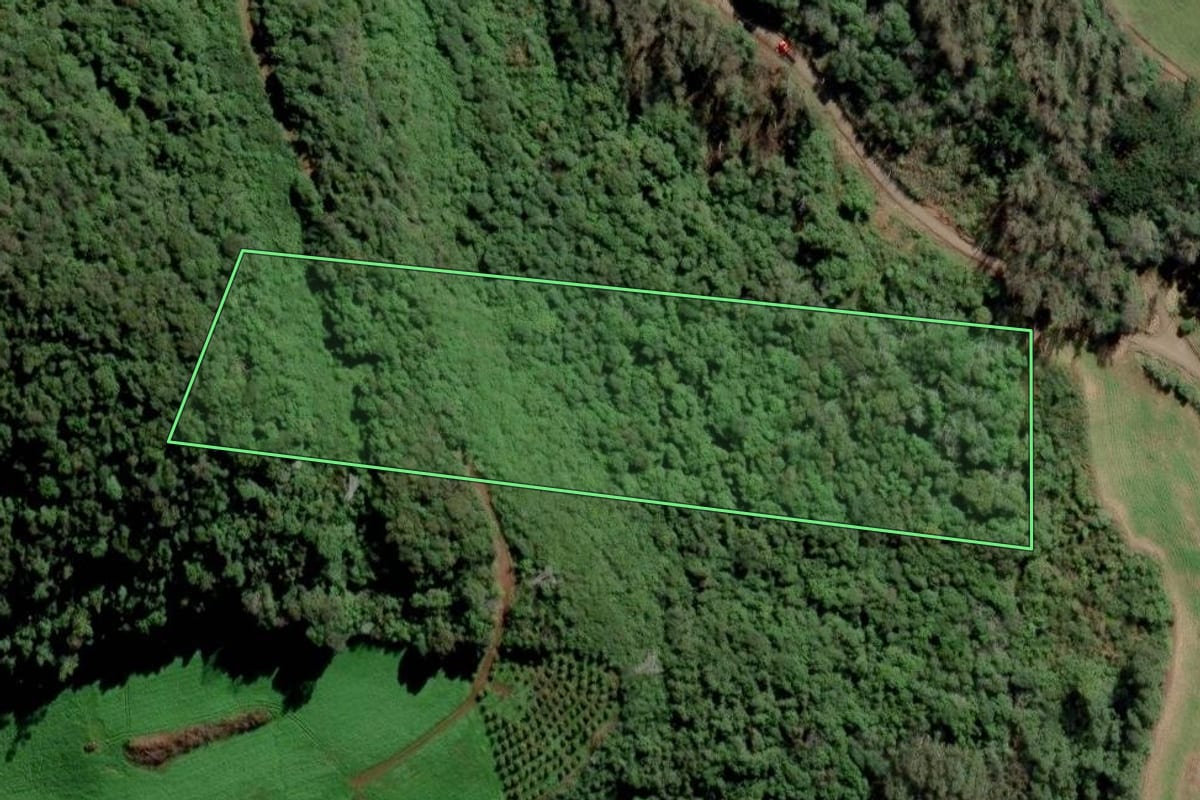 Imagem de satélite do imóvel rural em Farroupilha (RS), com o contorno declarado no CAR desenhado por cima.