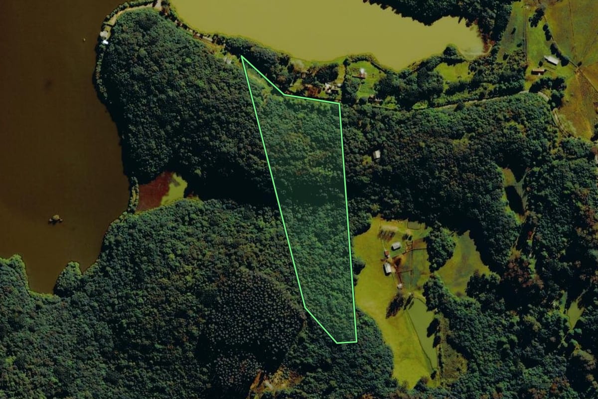 Imagem de satélite do imóvel rural em Farroupilha (RS), com o contorno declarado no CAR desenhado por cima.