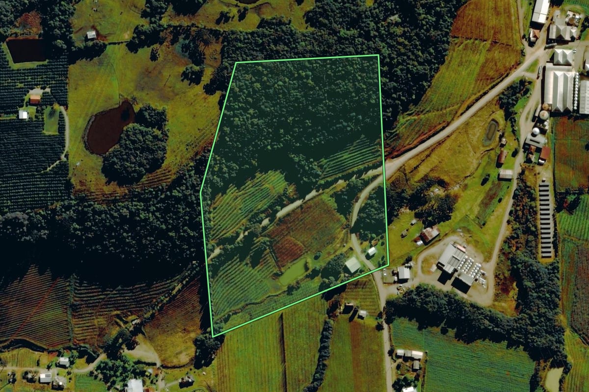 Imagem de satélite do imóvel rural em Farroupilha (RS), com o contorno declarado no CAR desenhado por cima.