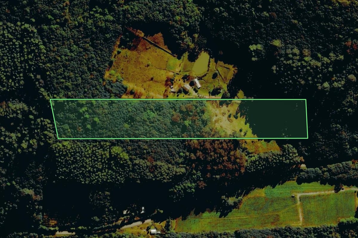 Imagem de satélite do imóvel rural em Farroupilha (RS), com o contorno declarado no CAR desenhado por cima.