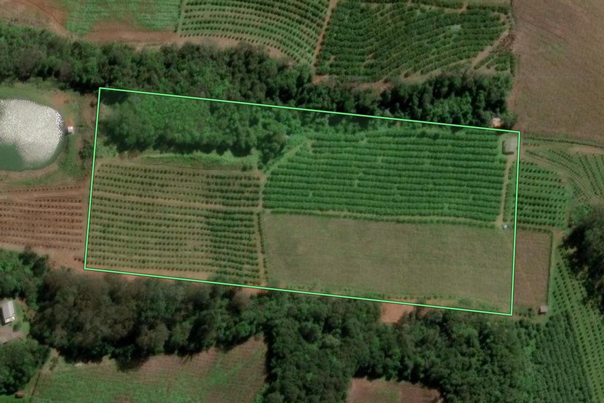 Imagem de satélite do imóvel rural em Farroupilha (RS), com o contorno declarado no CAR desenhado por cima.