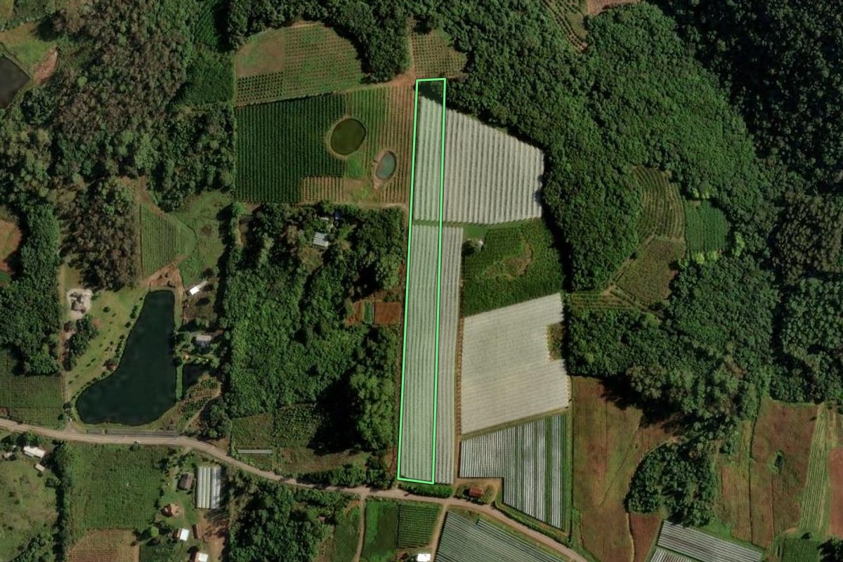 Imagem de satélite do imóvel rural em Farroupilha (RS), com o contorno declarado no CAR desenhado por cima.