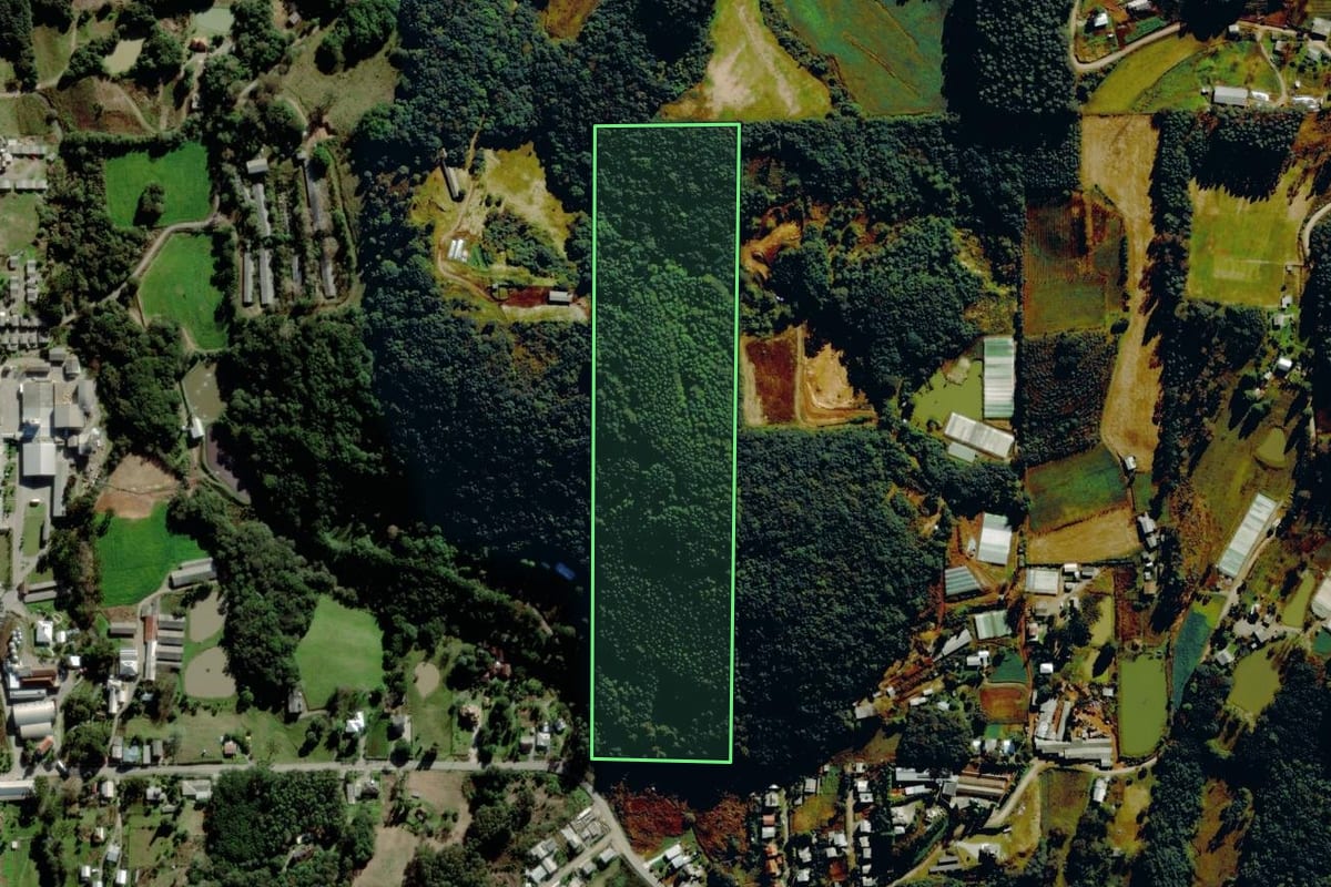 Imagem de satélite do imóvel rural em Farroupilha (RS), com o contorno declarado no CAR desenhado por cima.