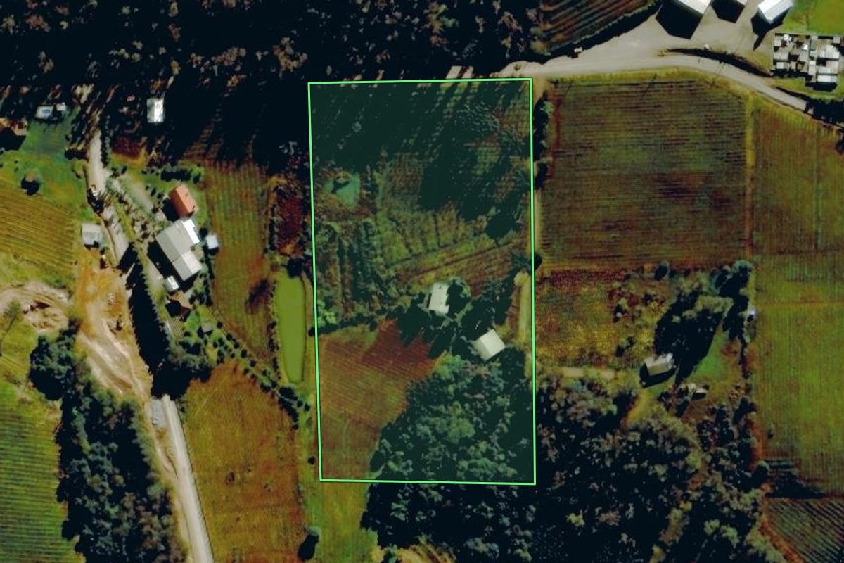 Imagem de satélite do imóvel rural em Farroupilha (RS), com o contorno declarado no CAR desenhado por cima.