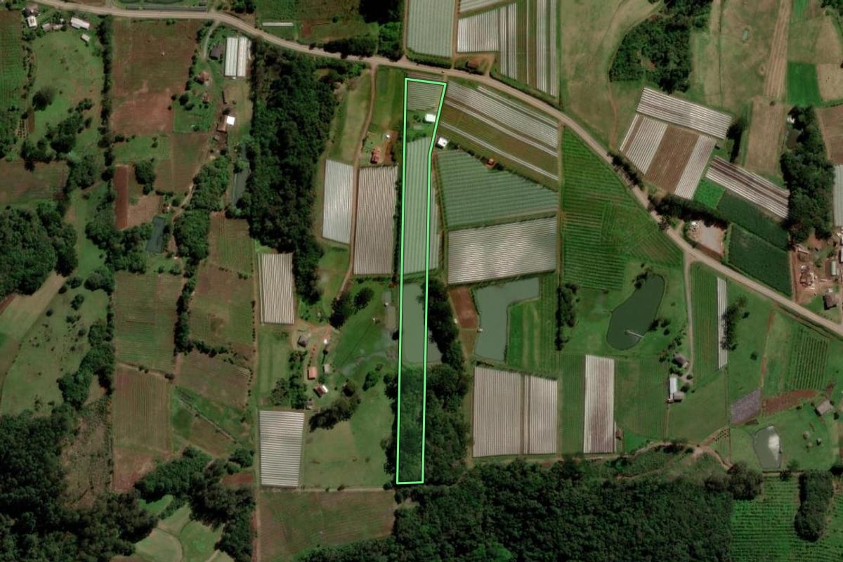 Imagem de satélite do imóvel rural em Farroupilha (RS), com o contorno declarado no CAR desenhado por cima.