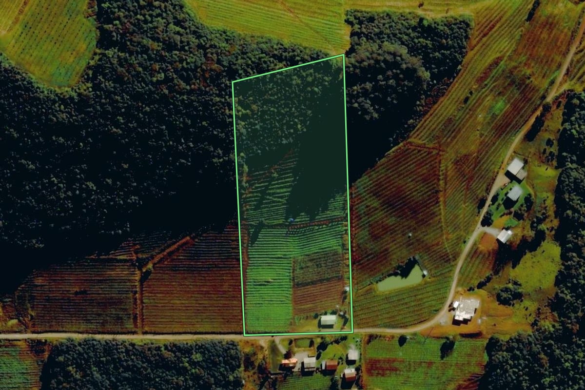 Imagem de satélite do imóvel rural em Farroupilha (RS), com o contorno declarado no CAR desenhado por cima.