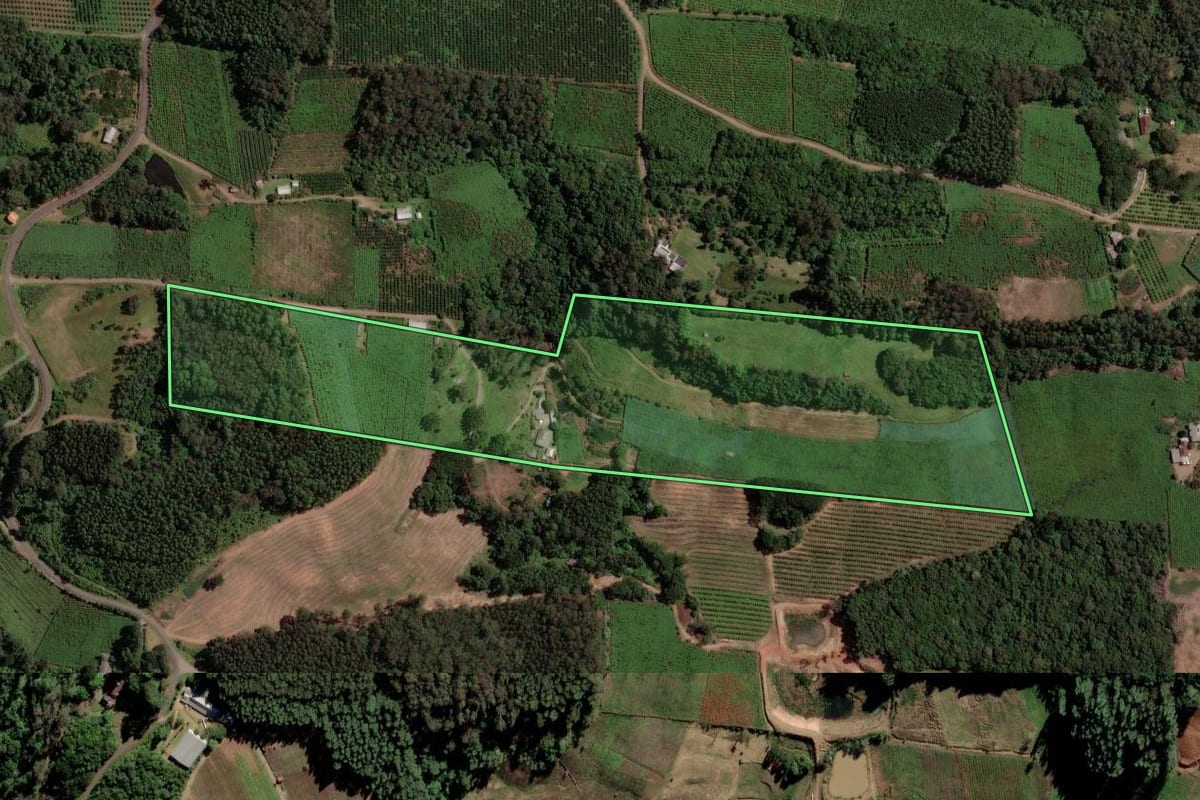 Imagem de satélite do imóvel rural em Farroupilha (RS), com o contorno declarado no CAR desenhado por cima.