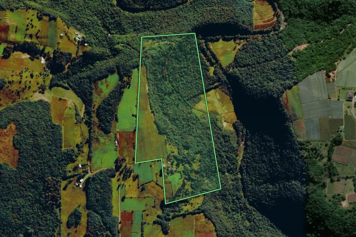 Imagem de satélite do imóvel rural em Farroupilha (RS), com o contorno declarado no CAR desenhado por cima.