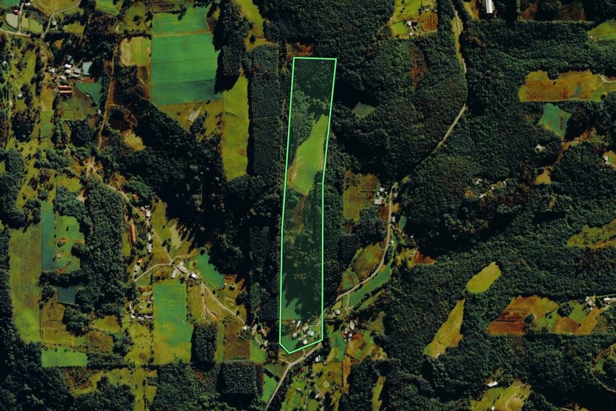 Imagem de satélite do imóvel rural em Farroupilha (RS), com o contorno declarado no CAR desenhado por cima.