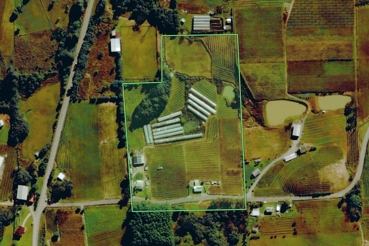 Imagem de satélite do imóvel rural em Farroupilha (RS), com o contorno declarado no CAR desenhado por cima.