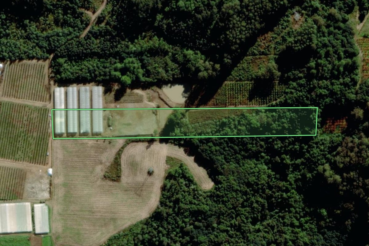 Imagem de satélite do imóvel rural em Farroupilha (RS), com o contorno declarado no CAR desenhado por cima.