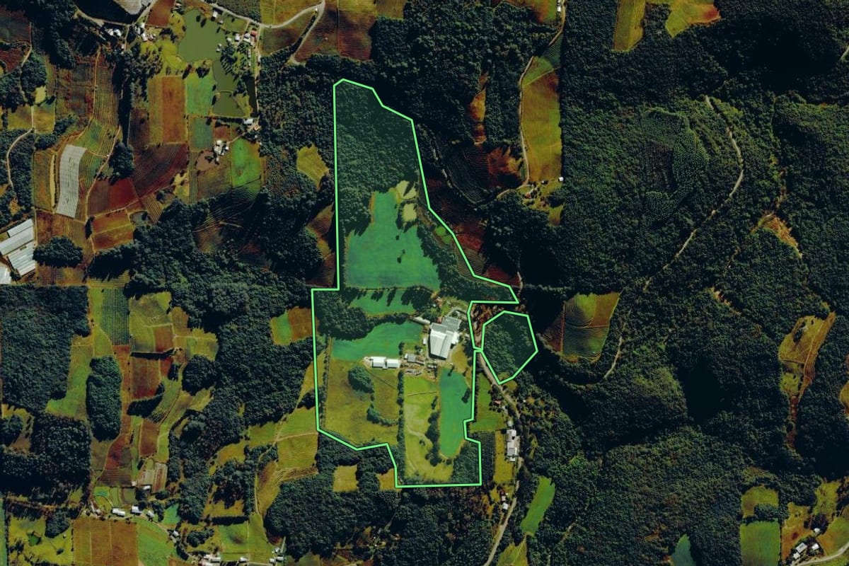 Imagem de satélite do imóvel rural em Farroupilha (RS), com o contorno declarado no CAR desenhado por cima.