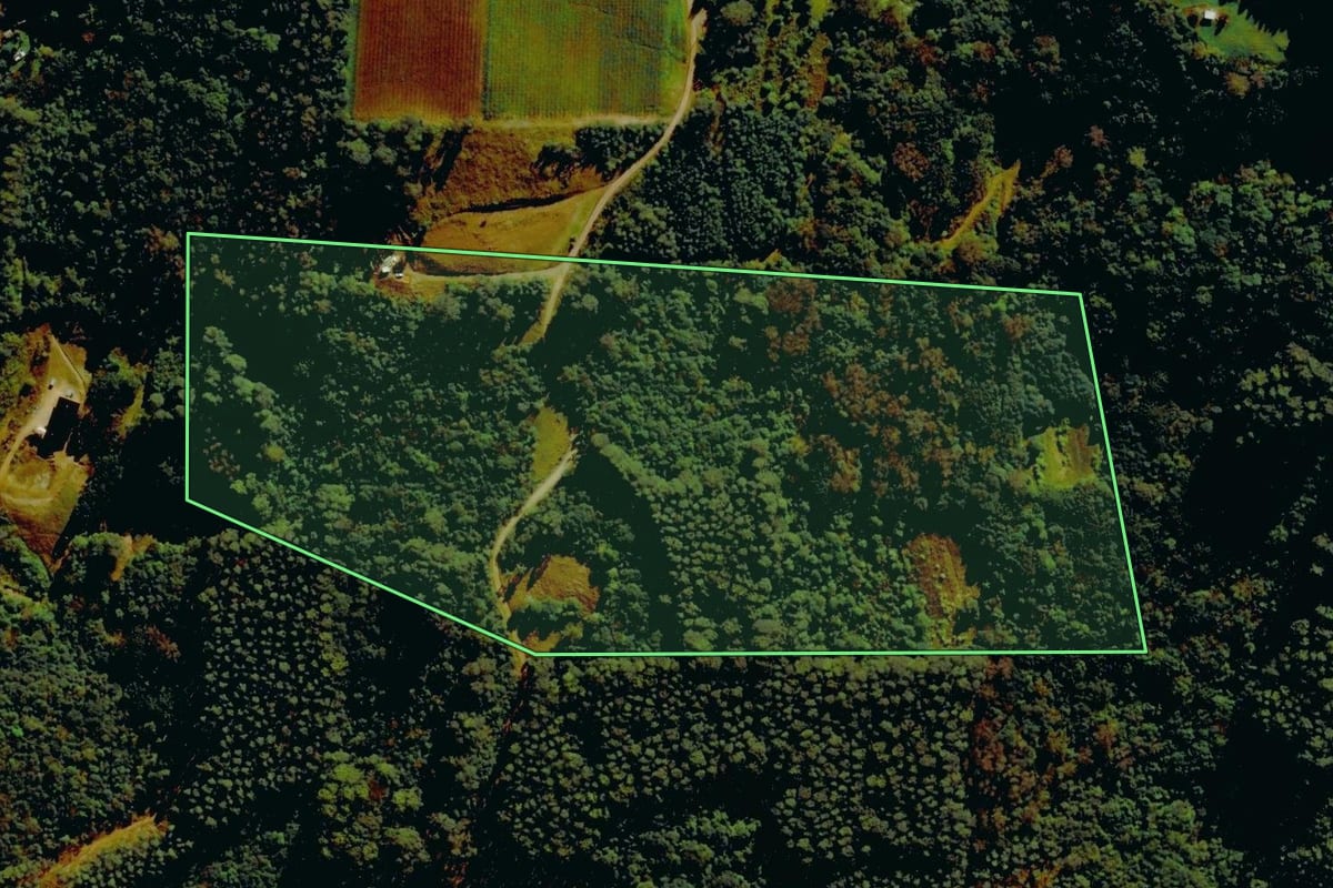 Imagem de satélite do imóvel rural em Farroupilha (RS), com o contorno declarado no CAR desenhado por cima.