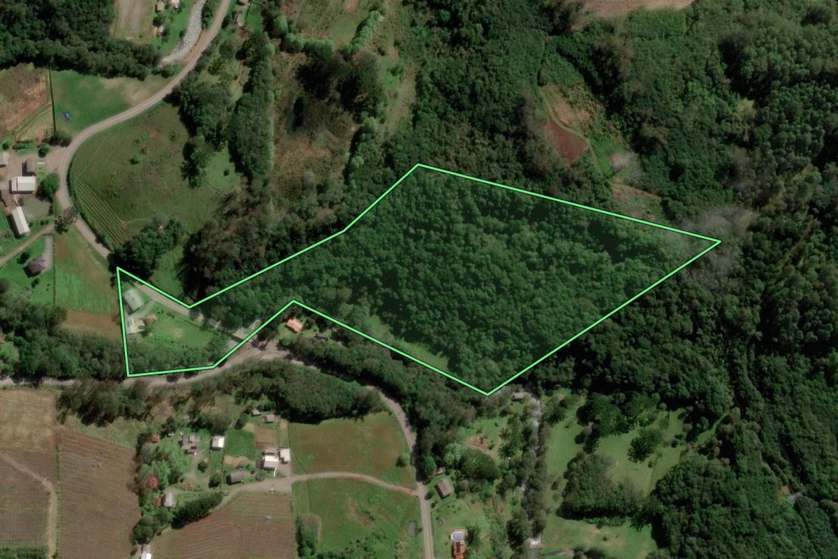 Imagem de satélite do imóvel rural em Farroupilha (RS), com o contorno declarado no CAR desenhado por cima.